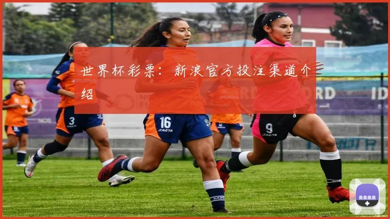 世界杯彩票：新浪官方投注渠道介绍