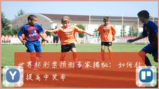 世界杯彩票预测专家揭秘：如何科学提高中奖率
