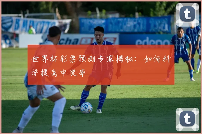 世界杯彩票预测专家揭秘:如何科学提高中奖率